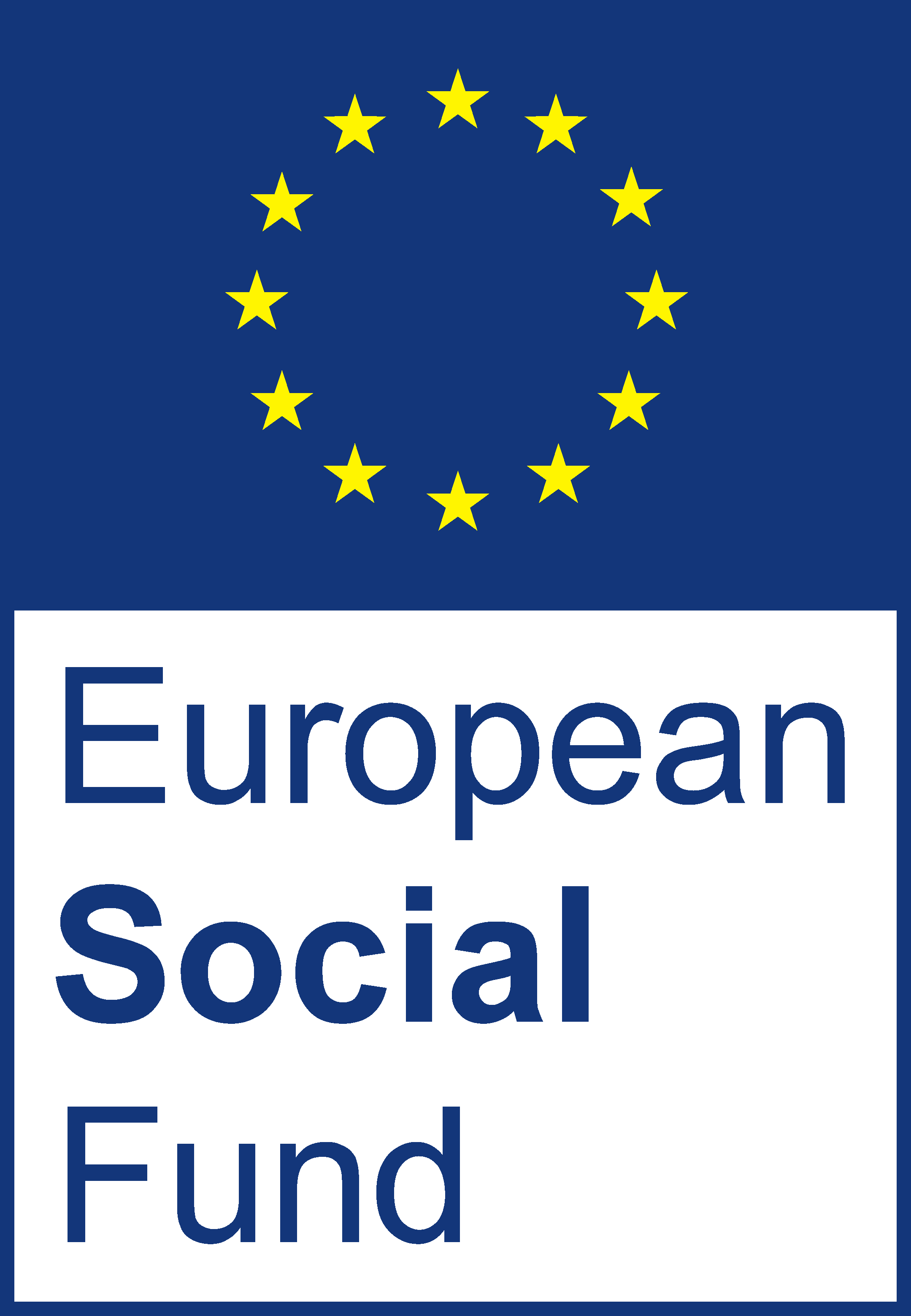 Europen social fund
