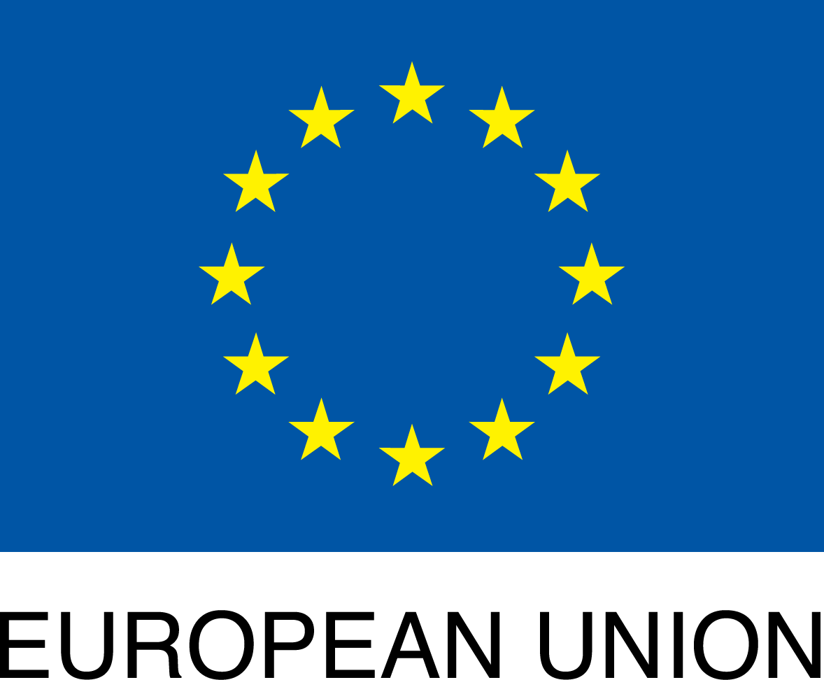 European union flag